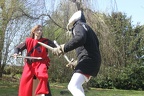 comp IMG 1327